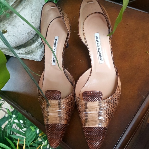 Milano Blahnik Shoes - Manolo Blahnik 曆snake shoes